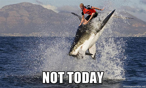 shark week recruiting