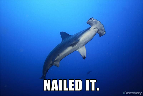 recruiting sharks